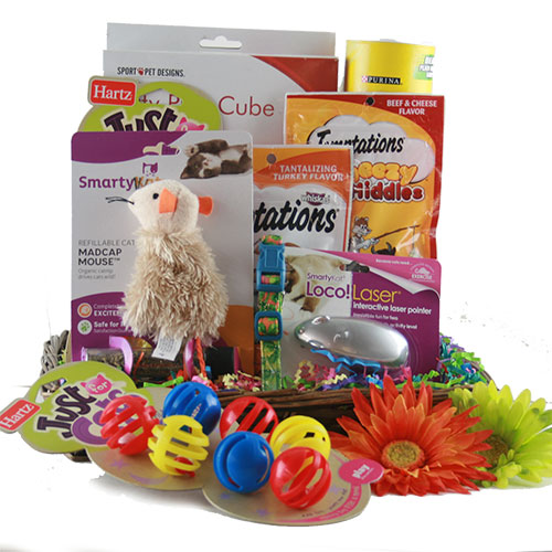 cat toy gift basket